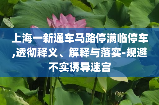 上海一新通車馬路停滿臨停車,透徹釋義、解釋與落實-規(guī)避不實誘導(dǎo)迷宮