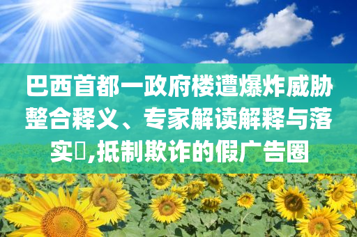 巴西首都一政府樓遭爆炸威脅整合釋義、專家解讀解釋與落實?,抵制欺詐的假廣告圈