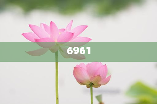 日債美債拍賣遇冷-整合釋義、專家解讀解釋與落實?,規(guī)避誤導(dǎo)的假宣傳困