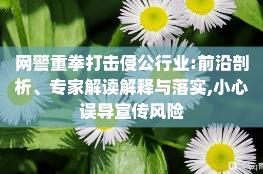網(wǎng)警重拳打擊侵公行業(yè):前沿剖析、專家解讀解釋與落實,小心誤導(dǎo)宣傳風(fēng)險