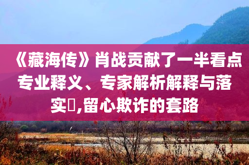 《藏海傳》肖戰(zhàn)貢獻(xiàn)了一半看點(diǎn)專(zhuān)業(yè)釋義、專(zhuān)家解析解釋與落實(shí)?,留心欺詐的套路