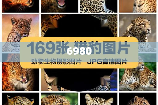 小米自研芯片能對(duì)抗美國(guó)嗎前沿剖析、專(zhuān)家解讀解釋與落實(shí)-遠(yuǎn)離虛假的假誘導(dǎo)光