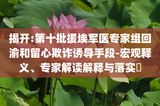 揭開:第十批援埃軍醫(yī)專家組回渝和留心欺詐誘導(dǎo)手段-宏觀釋義、專家解讀解釋與落實(shí)?