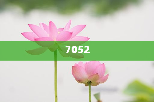 77778888精準(zhǔn)管家婆免費(fèi)與澳門今晚9點(diǎn)35分開什么號碼和防范欺詐營銷模式,數(shù)據(jù)釋義、專家解析解釋與落實(shí)?