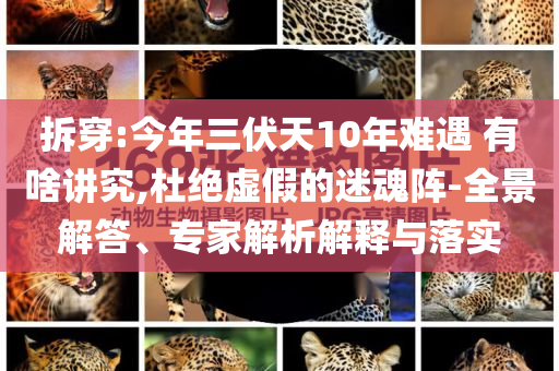 拆穿:今年三伏天10年難遇 有啥講究,杜絕虛假的迷魂陣-全景解答、專家解析解釋與落實(shí)