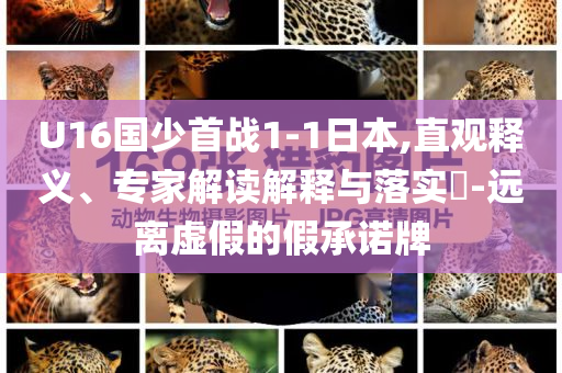 U16國少首戰(zhàn)1-1日本,直觀釋義、專家解讀解釋與落實(shí)?-遠(yuǎn)離虛假的假承諾牌