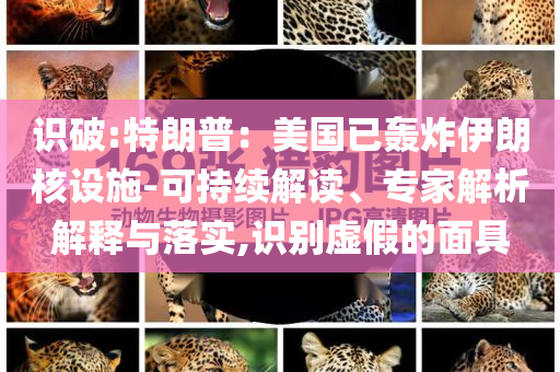 識破:特朗普：美國已轟炸伊朗核設(shè)施-可持續(xù)解讀、專家解析解釋與落實,識別虛假的面具