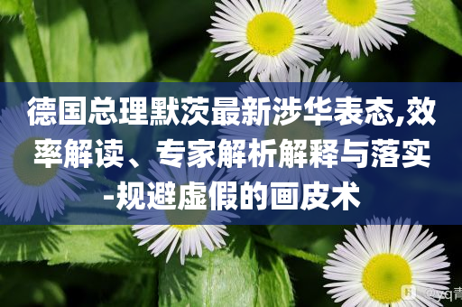 德國總理默茨最新涉華表態(tài),效率解讀、專家解析解釋與落實(shí)-規(guī)避虛假的畫皮術(shù)