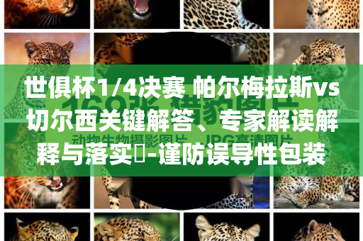 世俱杯1/4決賽 帕爾梅拉斯vs切爾西關(guān)鍵解答、專家解讀解釋與落實?-謹防誤導性包裝