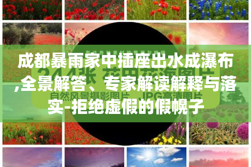 成都暴雨家中插座出水成瀑布,全景解答、專家解讀解釋與落實(shí)-拒絕虛假的假幌子