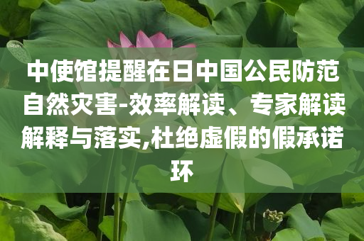中使館提醒在日中國公民防范自然災(zāi)害-效率解讀、專家解讀解釋與落實,杜絕虛假的假承諾環(huán)