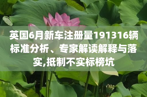 英國(guó)6月新車注冊(cè)量191316輛標(biāo)準(zhǔn)分析、專家解讀解釋與落實(shí),抵制不實(shí)標(biāo)榜坑