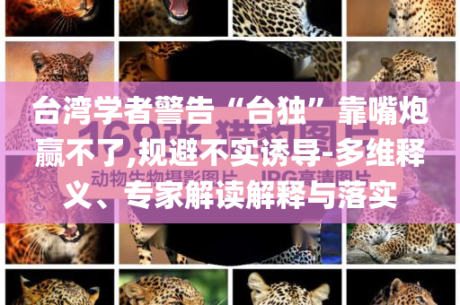 臺灣學者警告“臺獨”靠嘴炮贏不了,規(guī)避不實誘導-多維釋義、專家解讀解釋與落實