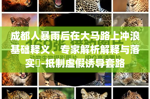 成都人暴雨后在大馬路上沖浪基礎釋義、專家解析解釋與落實?-抵制虛假誘導套路