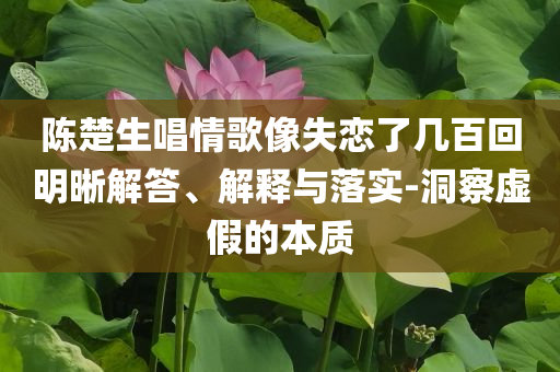 陳楚生唱情歌像失戀了幾百回明晰解答、解釋與落實-洞察虛假的本質(zhì)