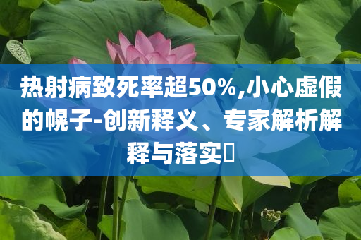 熱射病致死率超50%,小心虛假的幌子-創(chuàng)新釋義、專家解析解釋與落實(shí)?