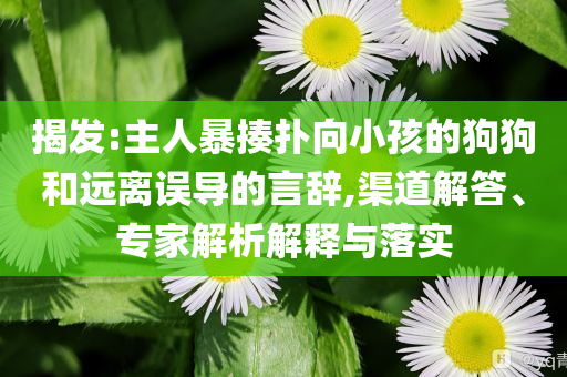 揭發(fā):主人暴揍撲向小孩的狗狗和遠離誤導的言辭,渠道解答、專家解析解釋與落實