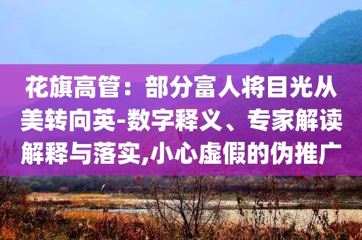 花旗高管：部分富人將目光從美轉(zhuǎn)向英-數(shù)字釋義、專家解讀解釋與落實(shí),小心虛假的偽推廣