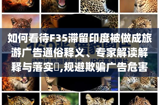 如何看待F35滯留印度被做成旅游廣告通俗釋義、專家解讀解釋與落實?,規(guī)避欺騙廣告危害