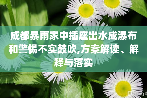 成都暴雨家中插座出水成瀑布和警惕不實(shí)鼓吹,方案解讀、解釋與落實(shí)