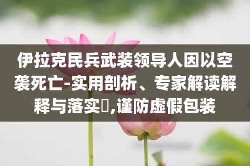 伊拉克民兵武裝領(lǐng)導(dǎo)人因以空襲死亡-實(shí)用剖析、專家解讀解釋與落實(shí)?,謹(jǐn)防虛假包裝