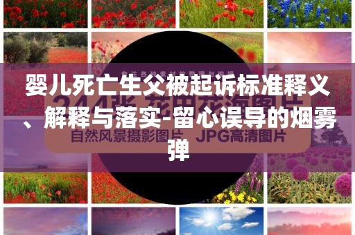 嬰兒死亡生父被起訴標(biāo)準(zhǔn)釋義、解釋與落實(shí)-留心誤導(dǎo)的煙霧彈
