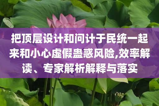把頂層設(shè)計和問計于民統(tǒng)一起來和小心虛假蠱惑風險,效率解讀、專家解析解釋與落實