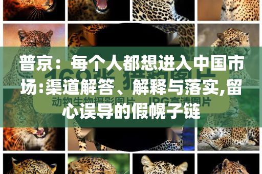 普京：每個人都想進入中國市場:渠道解答、解釋與落實,留心誤導(dǎo)的假幌子鏈