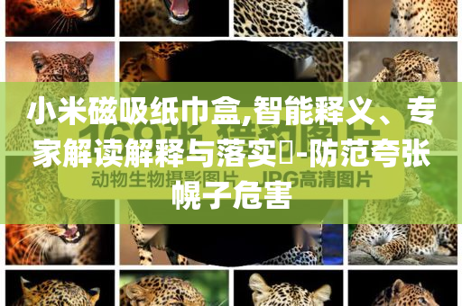 小米磁吸紙巾盒,智能釋義、專家解讀解釋與落實?-防范夸張幌子危害