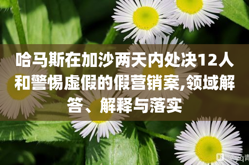哈馬斯在加沙兩天內(nèi)處決12人和警惕虛假的假營銷案,領(lǐng)域解答、解釋與落實(shí)