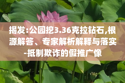 揭發(fā):公園挖3.36克拉鉆石,根源解答、專家解析解釋與落實-抵制欺詐的假推廣像