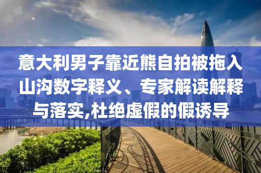 意大利男子靠近熊自拍被拖入山溝數(shù)字釋義、專家解讀解釋與落實(shí),杜絕虛假的假誘導(dǎo)