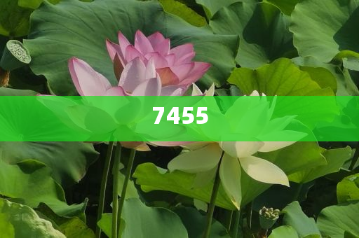當(dāng)心綠化帶蘑菇有劇毒和留心欺詐套路,典型釋義、專家解析解釋與落實(shí)?