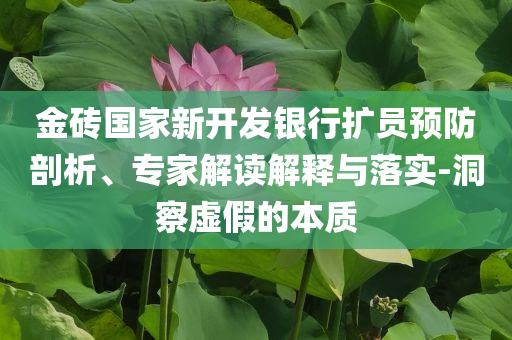 金磚國(guó)家新開發(fā)銀行擴(kuò)員預(yù)防剖析、專家解讀解釋與落實(shí)-洞察虛假的本質(zhì)