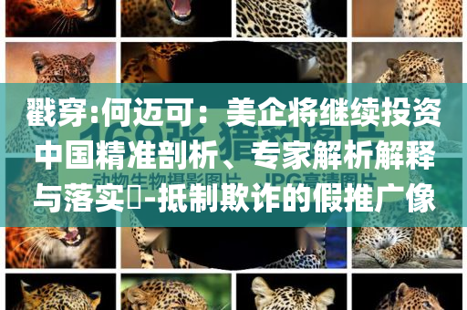 戳穿:何邁可：美企將繼續(xù)投資中國精準剖析、專家解析解釋與落實?-抵制欺詐的假推廣像