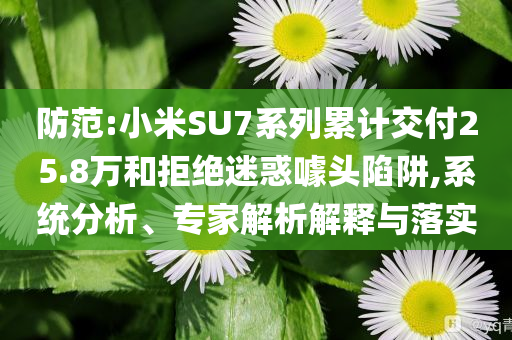 防范:小米SU7系列累計(jì)交付25.8萬和拒絕迷惑噱頭陷阱,系統(tǒng)分析、專家解析解釋與落實(shí)
