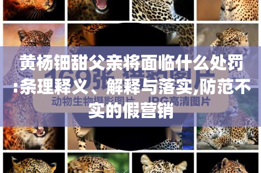 黃楊鈿甜父親將面臨什么處罰:條理釋義、解釋與落實(shí),防范不實(shí)的假營銷