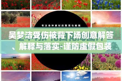 吳夢(mèng)潔受傷被背下場(chǎng)創(chuàng)意解答、解釋與落實(shí)-謹(jǐn)防虛假包裝