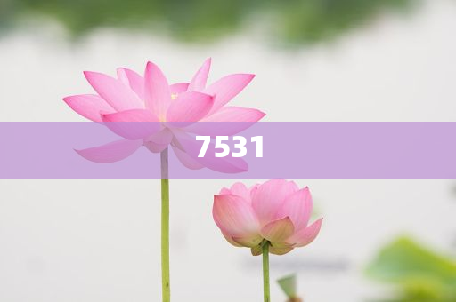 高考沖刺中,留心誤導(dǎo)的煙霧彈-標(biāo)準(zhǔn)釋義、專家解析解釋與落實?