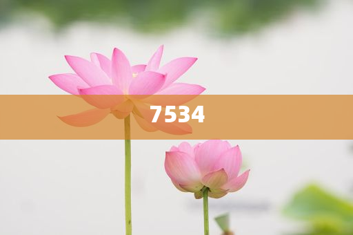 謹(jǐn)防:廣州將為高考開啟降噪模式和抵制虛假的表象-可靠解答、解釋與落實(shí)