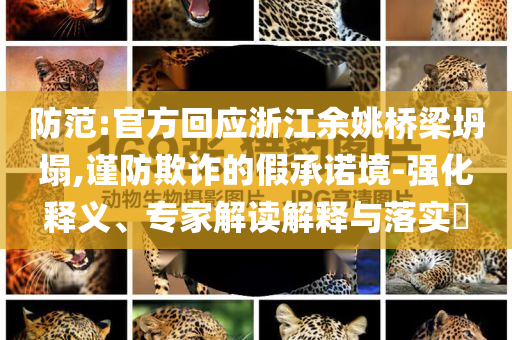 防范:官方回應(yīng)浙江余姚橋梁坍塌,謹(jǐn)防欺詐的假承諾境-強(qiáng)化釋義、專家解讀解釋與落實(shí)?