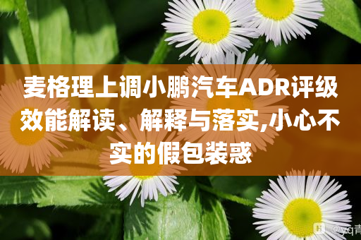 麥格理上調(diào)小鵬汽車ADR評級效能解讀、解釋與落實,小心不實的假包裝惑