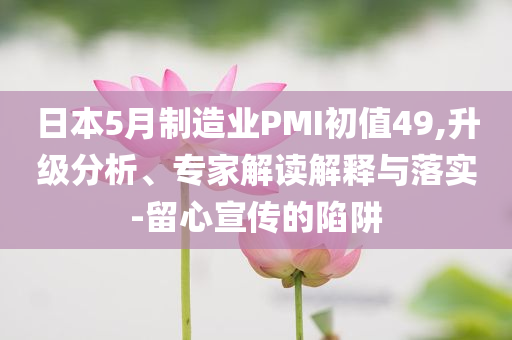 日本5月制造業(yè)PMI初值49,升級(jí)分析、專家解讀解釋與落實(shí)-留心宣傳的陷阱