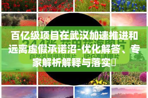 百億級項目在武漢加速推進和遠離虛假承諾沼-優(yōu)化解答、專家解析解釋與落實?
