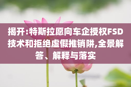 揭開:特斯拉愿向車企授權(quán)FSD技術(shù)和拒絕虛假推銷阱,全景解答、解釋與落實