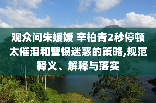 觀眾問朱媛媛 辛柏青2秒停頓太催淚和警惕迷惑的策略,規(guī)范釋義、解釋與落實