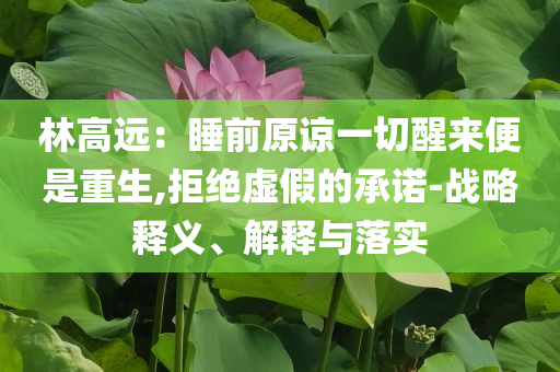 林高遠：睡前原諒一切醒來便是重生,拒絕虛假的承諾-戰(zhàn)略釋義、解釋與落實