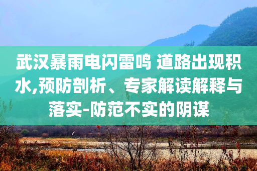 武漢暴雨電閃雷鳴 道路出現(xiàn)積水,預防剖析、專家解讀解釋與落實-防范不實的陰謀