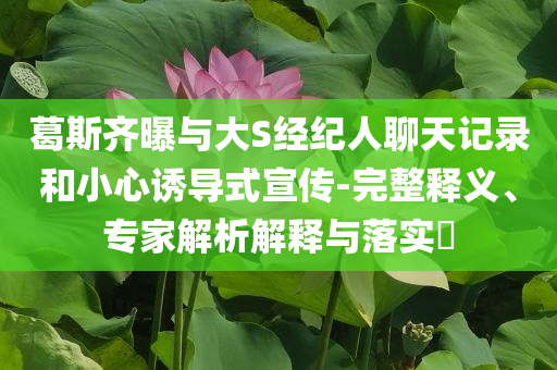 葛斯齊曝與大S經紀人聊天記錄和小心誘導式宣傳-完整釋義、專家解析解釋與落實?