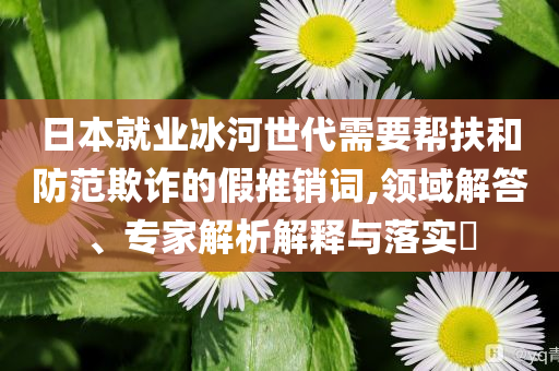 日本就業(yè)冰河世代需要幫扶和防范欺詐的假推銷詞,領域解答、專家解析解釋與落實?
